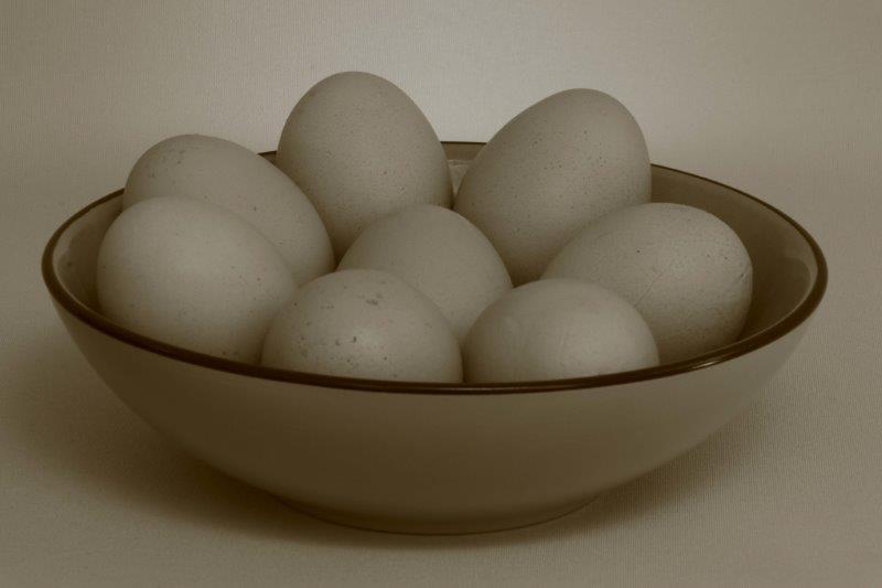 Stilleven in sepia 2019